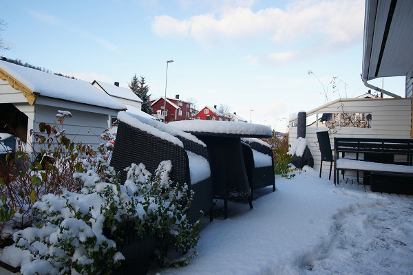 2019-10-28--12-13-02-000tromso-bruno