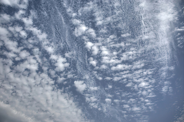 cirrocumulus 01-standard-scale-2 00x
