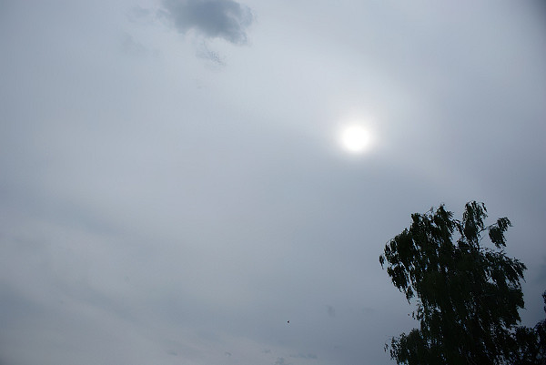 cirro stratus-standard-scale-2 00x