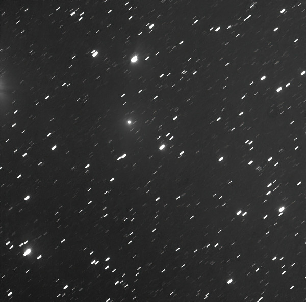 63P Wild 16x2min-standard-scale-2 00x