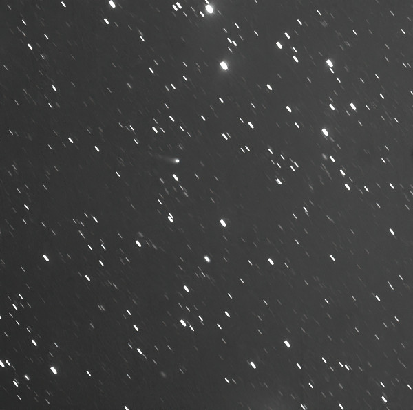 C2011J2Linear 16x2min-standard-scale-2 00x