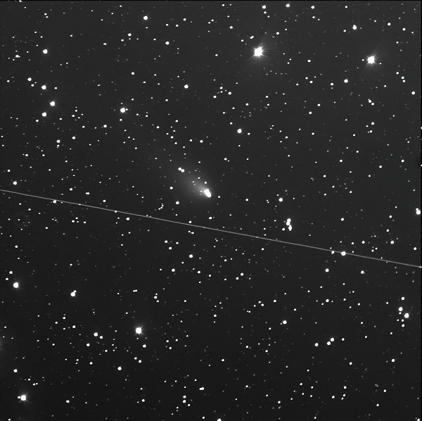 c168P-0001-C2B10a-standard-scale-2 00x