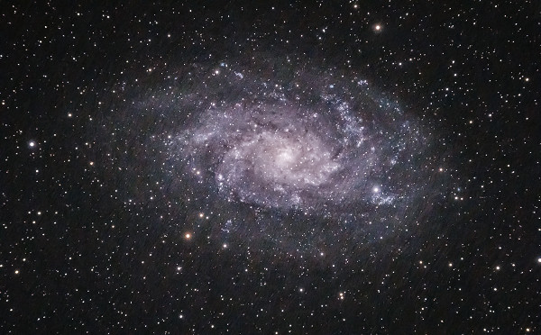 Triangulum Galaxy (M33)