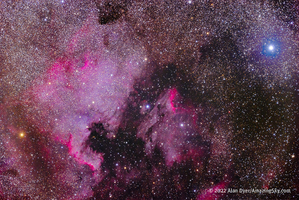 North America Nebula and Deneb