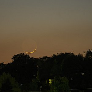Moon